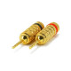 Cable Terminals - K71