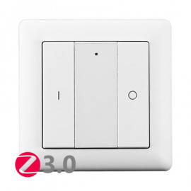 Wall Controller - ZG9001K2-DIM2