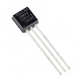 Temperature sensor - DS18B20