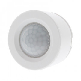 Motion Sensor - PIR-2