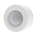 Motion Sensor - PIR-2