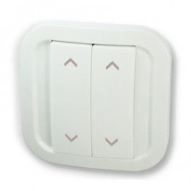 Veggkontroller - CWS-2-RS-01